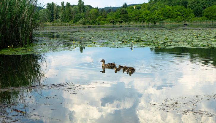 Nuova Dacia Duster 2018: Prova dell’1.5 dCi da 110CV e 4×4 - Foto 11 di 18