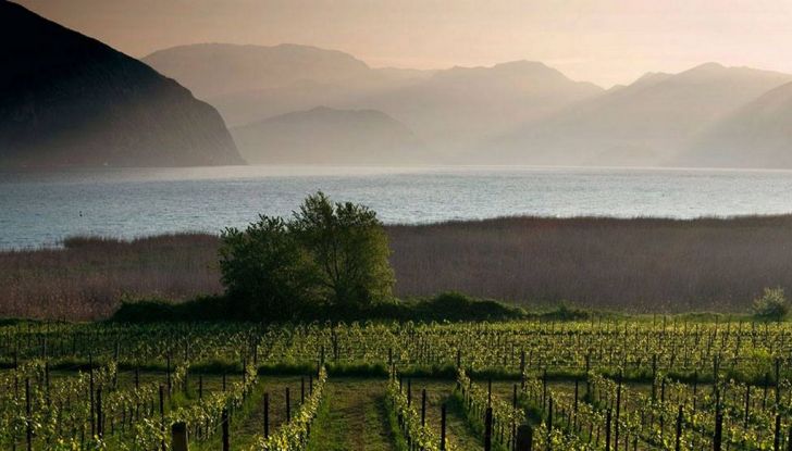 Inaugurazione Brixia Special, il primo Moto Club FMI per le Special - Foto 13 di 16