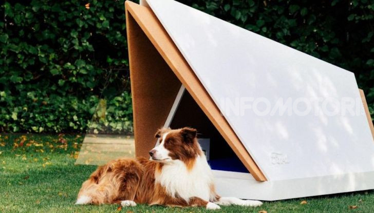 Salvare i cani dai botti di capodanno con la cuccia di Ford - Foto 5 di 6