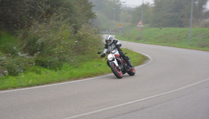 Ducati Monster 797: happy birthday Monster - Foto 18 di 53