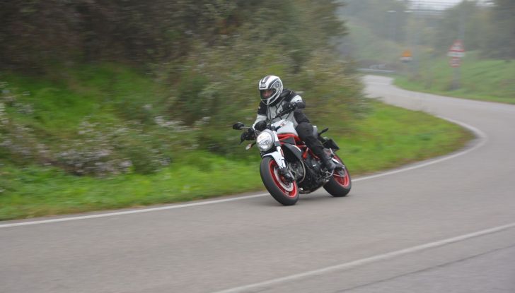 Ducati Monster 797: happy birthday Monster - Foto 19 di 53