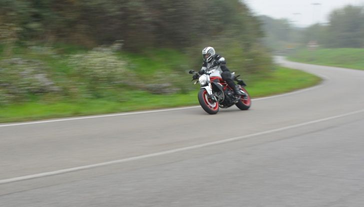 Ducati Monster 797: happy birthday Monster - Foto 22 di 53