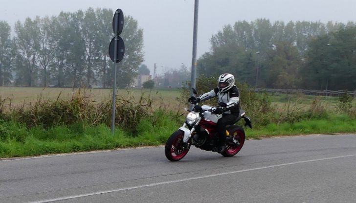 Ducati Monster 797: happy birthday Monster - Foto 29 di 53