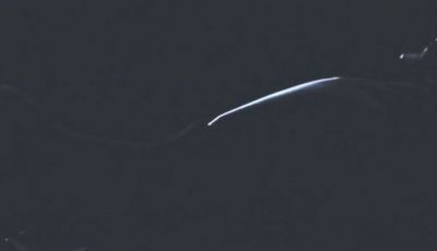 Honda Projects Neo Sports Café