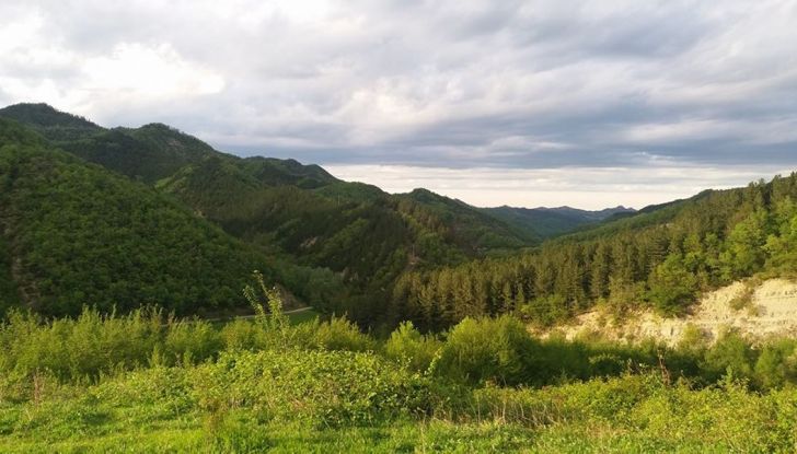 Poggiolo Off-Road Academy, a Imola 1000 ettari per la libertà dell’enduro - Foto 9 di 25