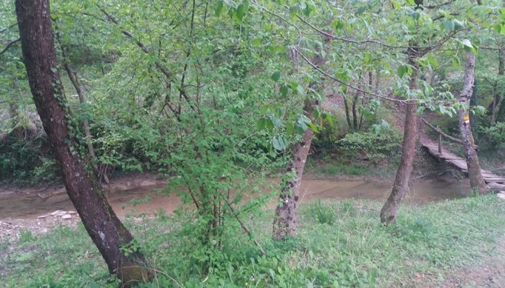 Poggiolo Off-Road Academy, a Imola 1000 ettari per la libertà dell’enduro - Foto 19 di 25