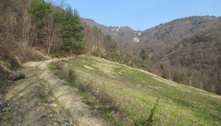 Poggiolo Off-Road Academy, a Imola 1000 ettari per la libertà dell’enduro - Foto 24 di 25