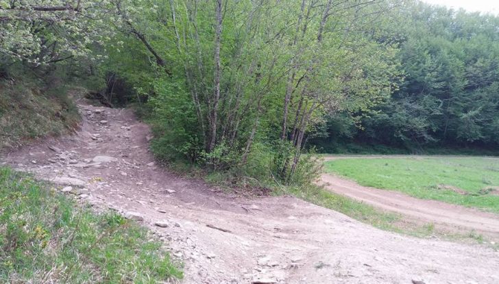 Poggiolo Off-Road Academy, a Imola 1000 ettari per la libertà dell’enduro - Foto 7 di 25