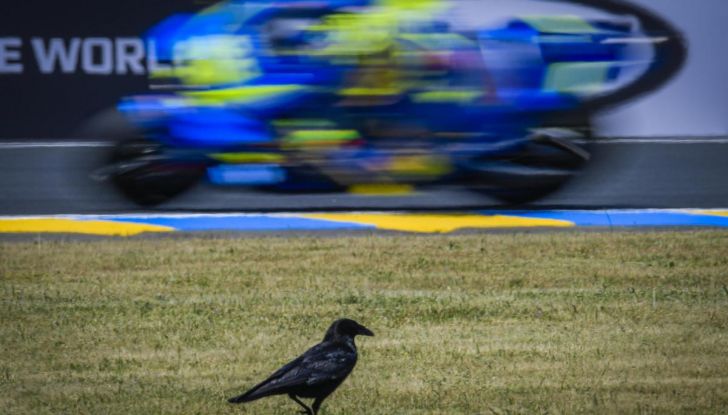 MotoGP di Le Mans 2018: Dritto dal Bar! con il Motoimbecille - Foto 4 di 15