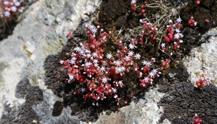 Sardegna Gran Tour: avventura in sicurezza e ottima compagnia! - Foto 7 di 9