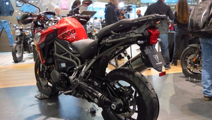 Triumph: avventura, naked o classica? - Foto 5 di 11