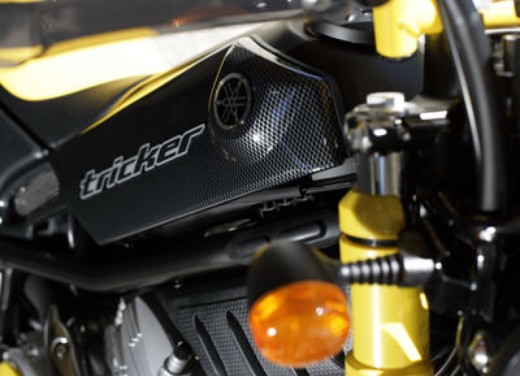 Yamaha Tricker 250 - Foto 13 di 29