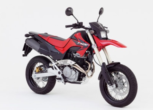 Honda Hornet 600 e FMX650 - Foto 10 di 11