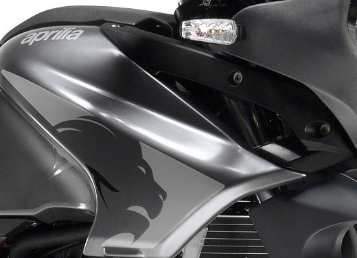 Aprilia Pegaso 650 Trail - Foto 9 di 10