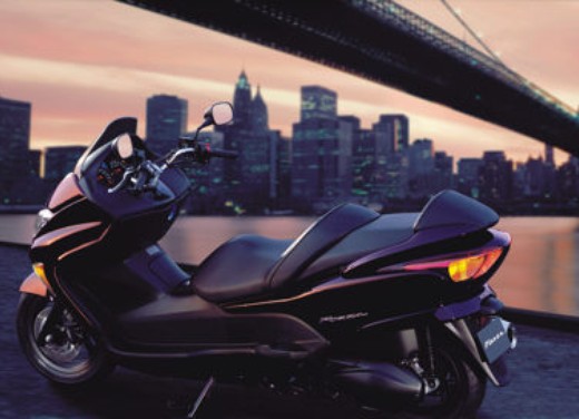 Honda Forza 250 - Foto 1 di 14