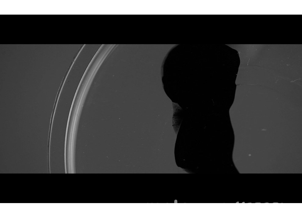 Ducati lancia il teaser This Is Black, ad anticipare le novità – Video - Foto 8 di 8