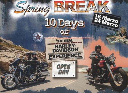 Harley Davidson Spring Break 2013