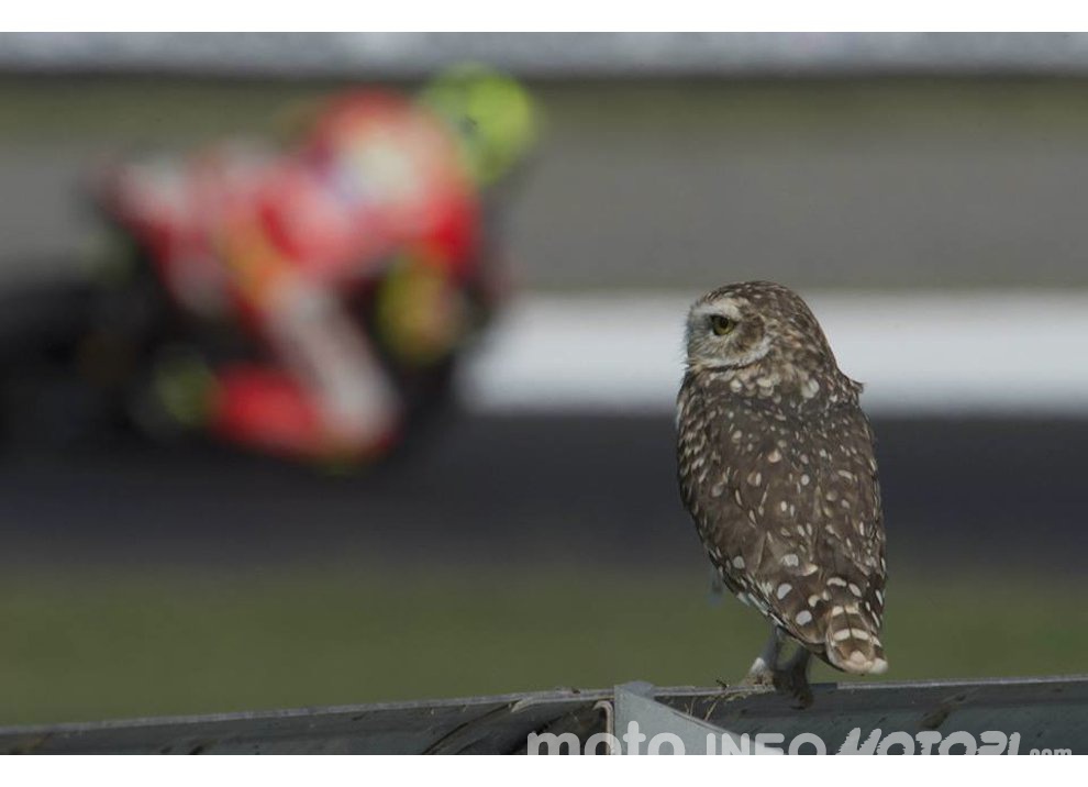 Rimini Racing Shot 2015: le 58 foto più belle della MotoGP  - Foto 50 di 58
