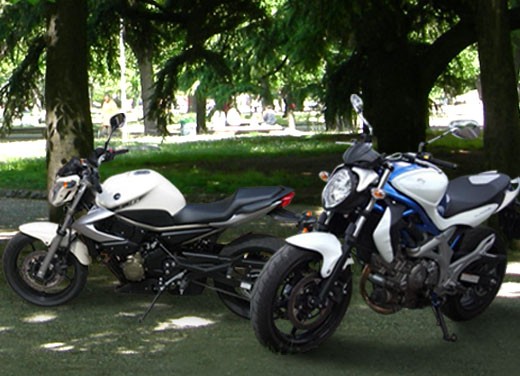 Yamaha XJ6 vs Suzuki Gladius