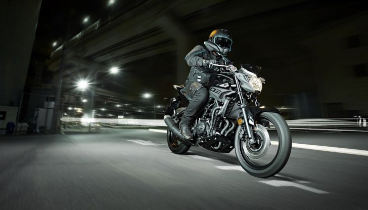 Yamaha MT e Sport Touring 2016: una serie di test-ride per provarle - Foto 5 di 13