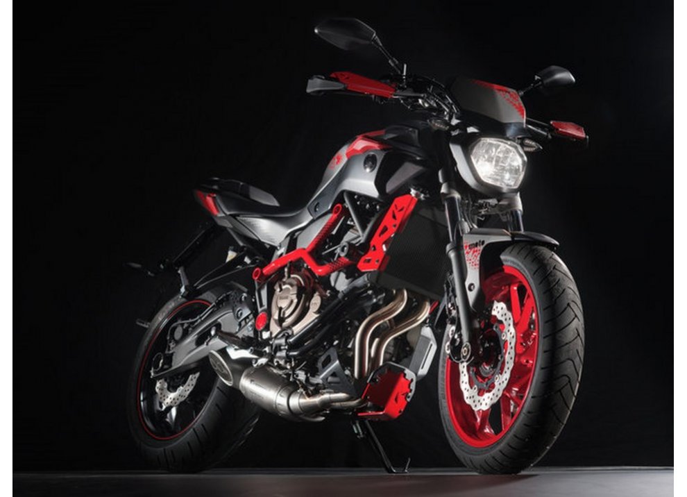 Yamaha MT-07 Moto Cage 2015