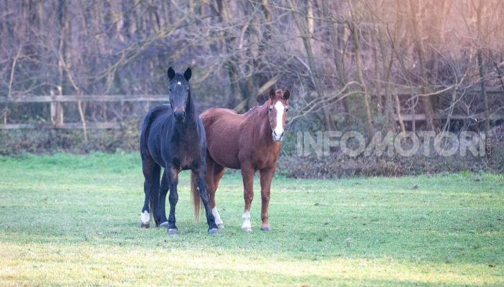 Suzuki Jimny VS V-Strom 1000 XT: il DNA dell’avventura - Foto 7 di 11