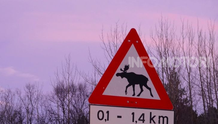 White Cruise: da Milano a Capo nord con la nuova Citroen C5 Aircross 71° N - Foto 31 di 43