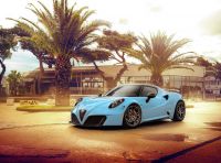 Alfa Romeo 4C Zeus Pogea Racing