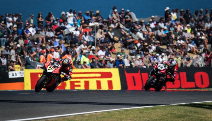 SBK 2019, Phillip Island: Ducati Panigale V4R e Bautista sul tetto del mondo - Foto 11 di 16