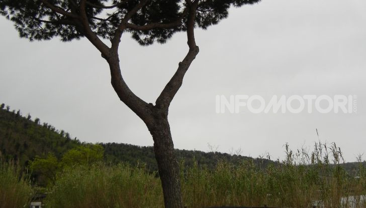 Nuova BMW Z4 2019: Prova in pista a Vallelunga della Roadstar di Monaco - Foto 28 di 36