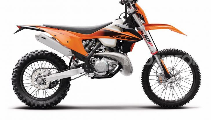 KTM presenta le novità della gamma enduro 2020 - Foto 7 di 9