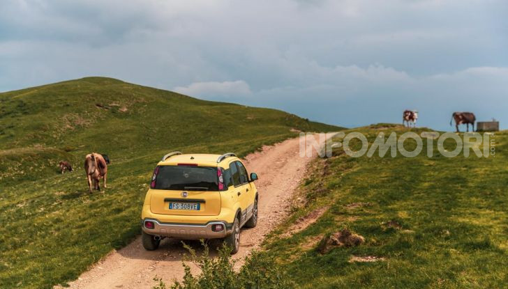 [VIDEO] Fiat Panda Cross 4×4: la leggenda è inarrestabile! - Foto 37 di 48