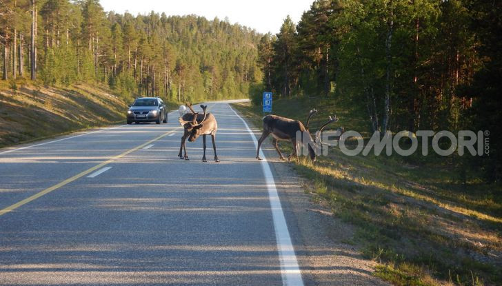 Da Reggio Calabria a Capo Nord con una Honda Monkey 125 - Foto 12 di 20