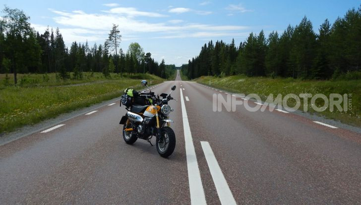 Da Reggio Calabria a Capo Nord con una Honda Monkey 125 - Foto 5 di 20