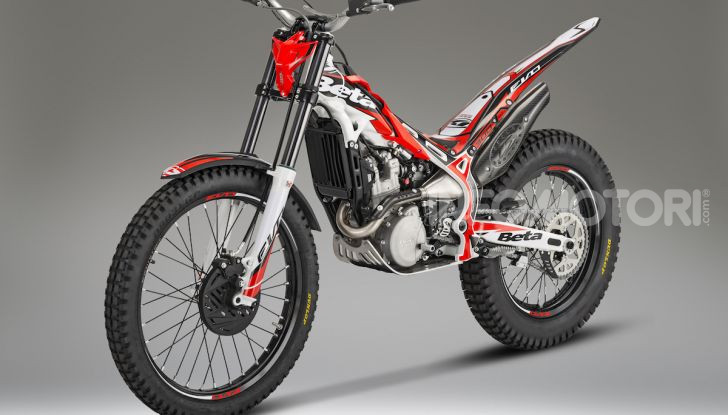 Beta Evo MY 2020: l’esperienza del racing in un gioiello da trial - Foto 1 di 7