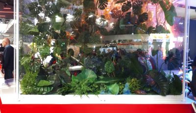 Aprilia Tuareg 660 2020: tutto quello che sappiamo sul nuovo modello