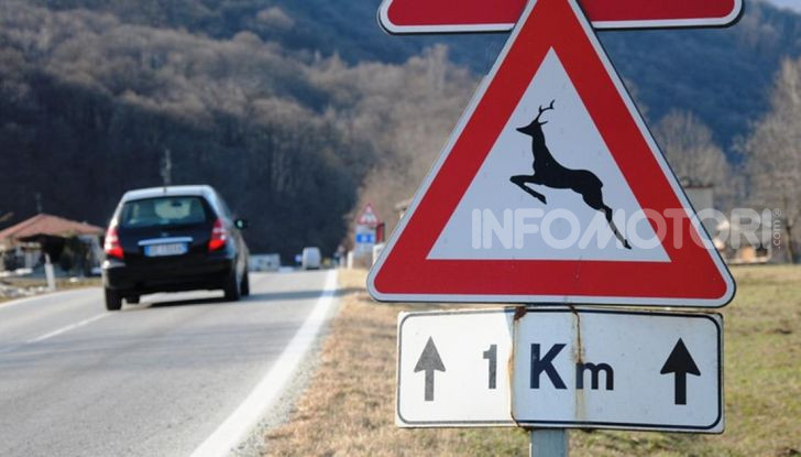 attraversamento animali cartello