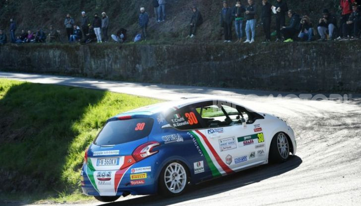 CIR 2019: a Peugeot il titolo Costruttori nel Campionato 2 Ruote Motrici - Foto 8 di 10