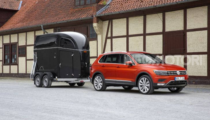 Volkswagen Trailer Cavalli Roma