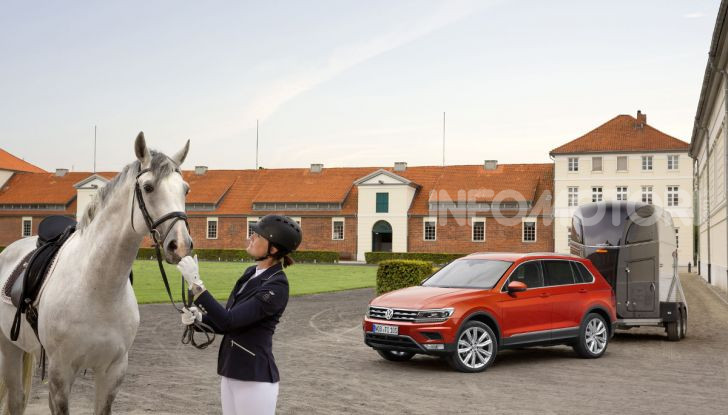 Volkswagen Trailer Cavalli Roma