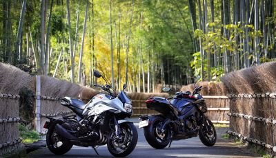 Suzuki: posticipate le scadenze per garanzie, tagliandi e richiami