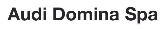 domina logo