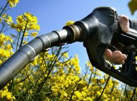 Hai un’auto diesel? Adesso il pieno ti costa di più, ecco perché