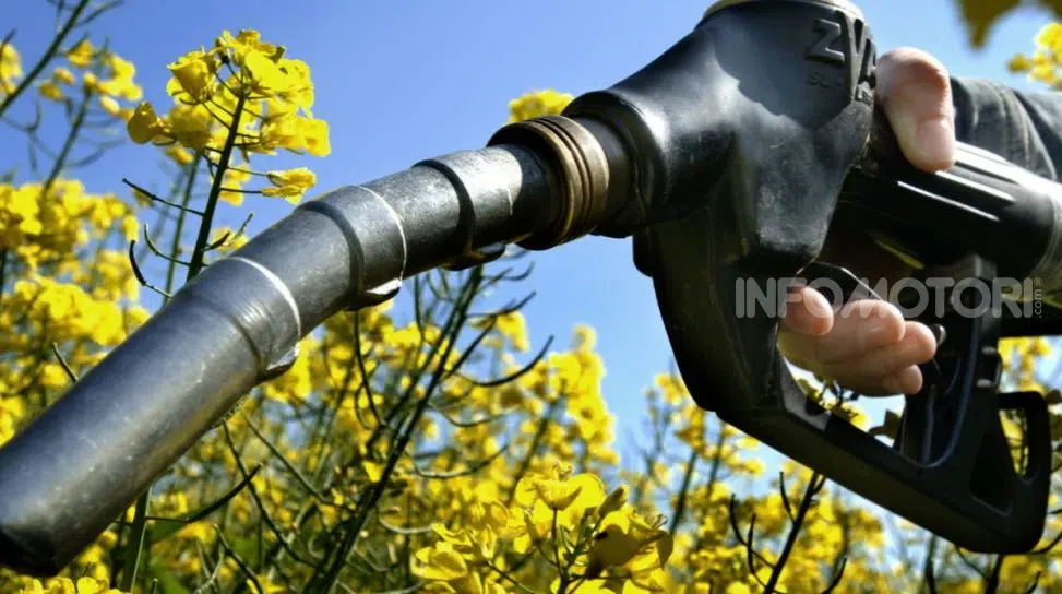 Hai un’auto diesel? Adesso il pieno ti costa di più, ecco perché