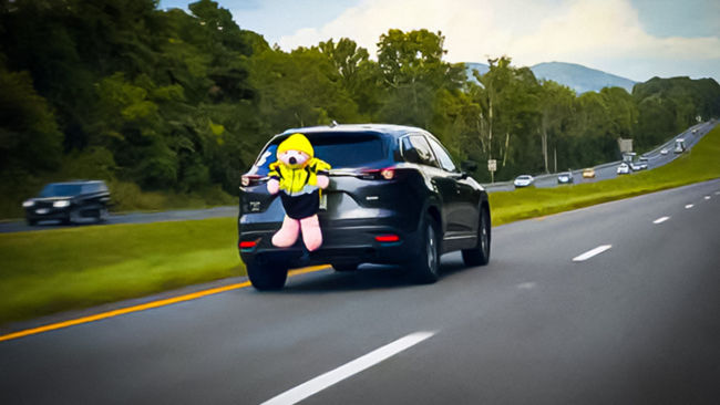 Guida autonoma in auto: un orsetto di peluche cattura l'attenzione?