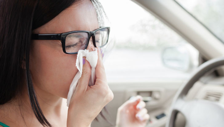 Allergia primavera auto