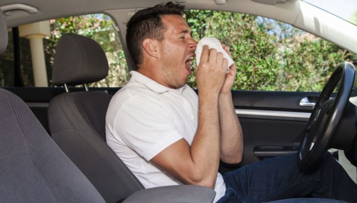 Allergia primavera auto