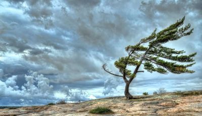 Problema vento e raffiche: i consigli utili per guidare in sicurezza