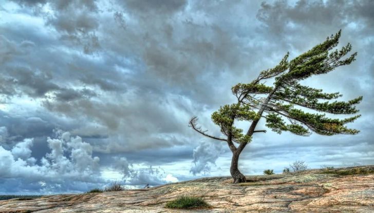 Guidare auto consigli vento forte