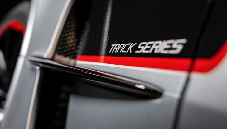 Mercedes-AMG GT Track Series: la Stella tedesca da 790 CV destinata alla pista - Foto 6 di 12